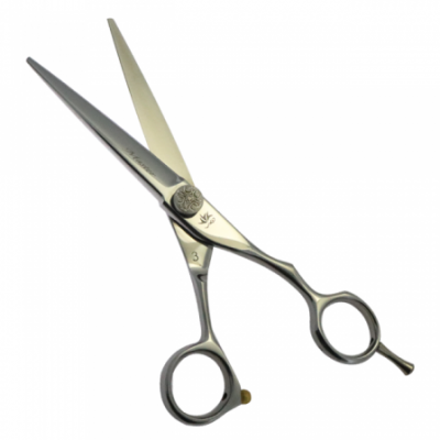 Professional Hair Stylist Beauty Salon Cutting Scissors Tz 162