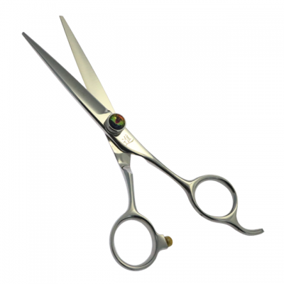 High Quality Japan Stainless Steel Beauty Hair Salonn Scissors Tz 255