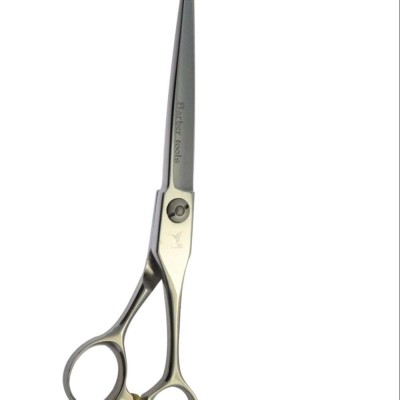 Professional Japan Steel 420j2 Barber Scissors Bb-65