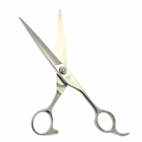 High Quality Barber Scissors Cutting & Thinning Scissors Professional Hair Cutting Scissors Shears Fx-5502